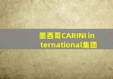 墨西哥CARINI international集团